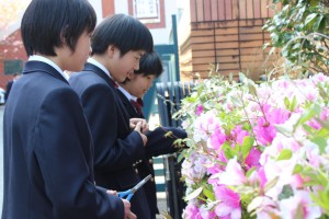 中学1年 理科 ツツジの花のつくりの観察 尚学館中学校 高等部