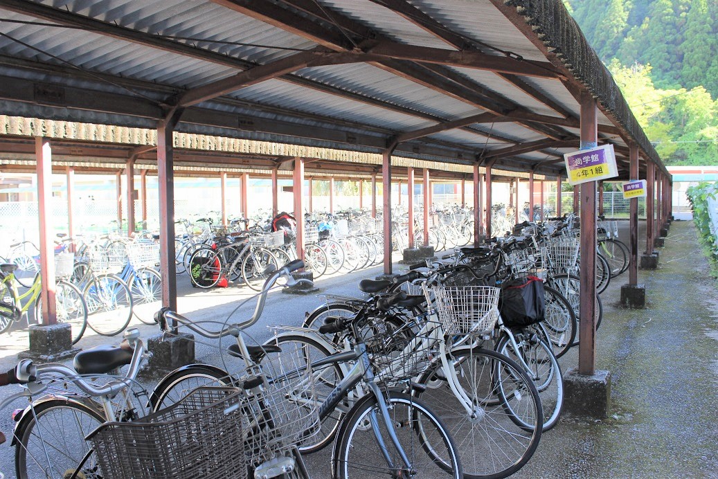 自転車 中学校 ステッカー ストア 番号