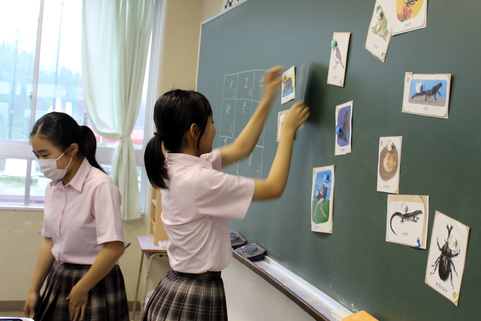 中学2年 理科 動物の分類 尚学館中学校 高等部